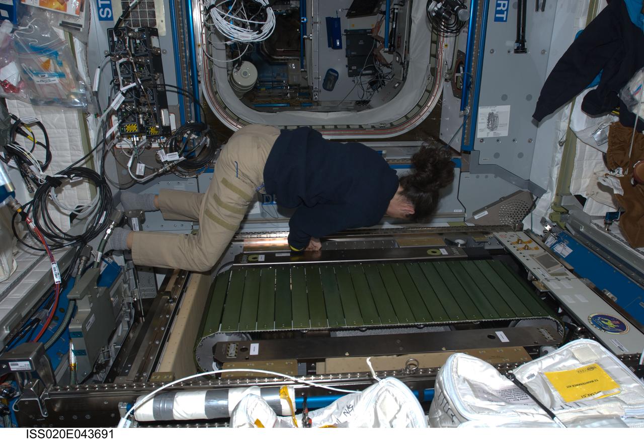 COLBERT Treadmill official NASA archive view
